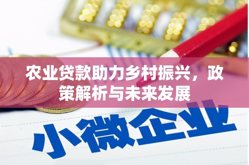 新都农业贷款助力乡村振兴，政策解析与未来发展