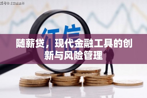 新都随薪贷，现代金融工具的创新与风险管理