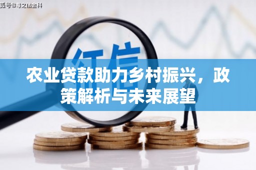 新都农业贷款助力乡村振兴，政策解析与未来展望