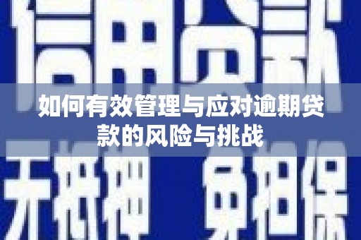 新都如何有效管理与应对逾期贷款的风险与挑战