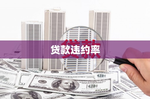 新都贷款违约率