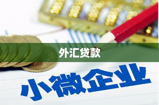 新都外汇贷款