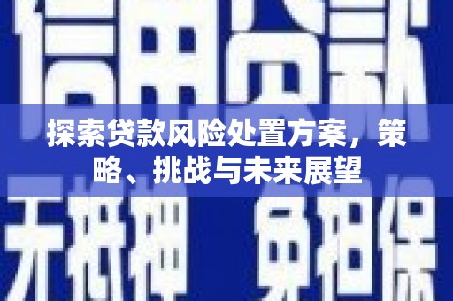 新都探索贷款风险处置方案，策略、挑战与未来展望