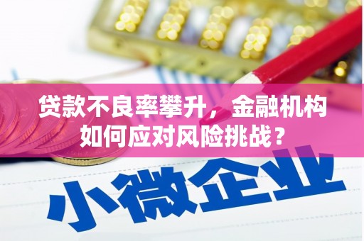 新都贷款不良率攀升，金融机构如何应对风险挑战？