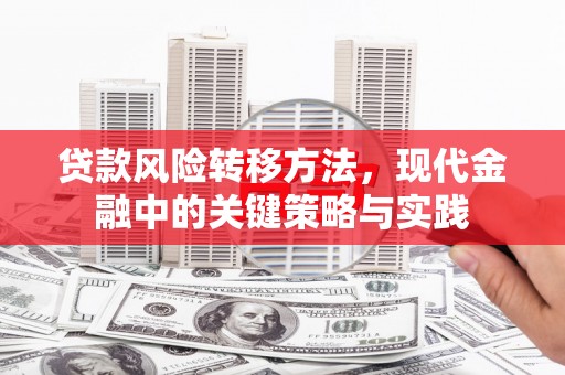 新都贷款风险转移方法，现代金融中的关键策略与实践
