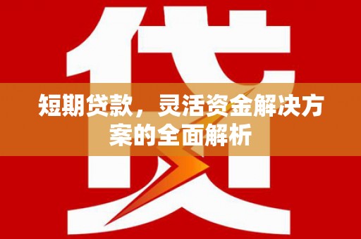 新都短期贷款，灵活资金解决方案的全面解析
