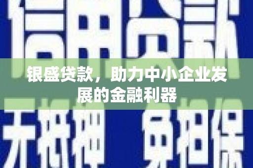 新都银盛贷款，助力中小企业发展的金融利器