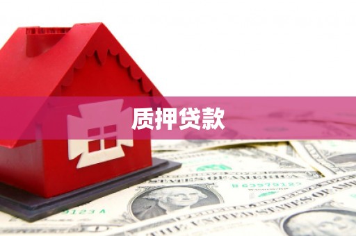 新都质押贷款