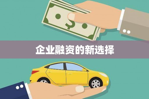 新都企业融资的新选择