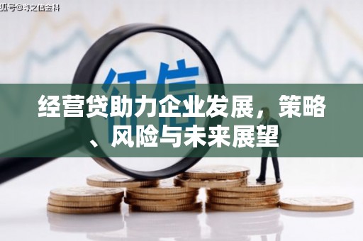新都经营贷助力企业发展，策略、风险与未来展望