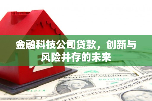 新都金融科技公司贷款，创新与风险并存的未来