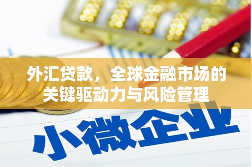 新都外汇贷款，全球金融市场的关键驱动力与风险管理