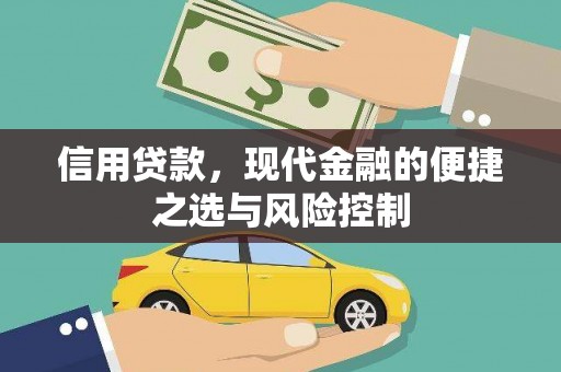 新都信用贷款，现代金融的便捷之选与风险控制