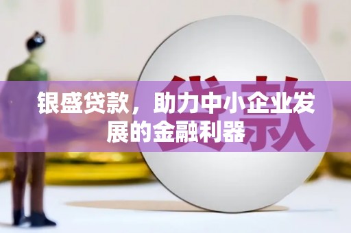 新都银盛贷款，助力中小企业发展的金融利器