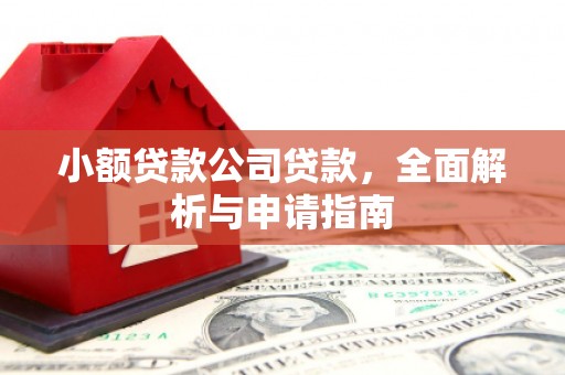 新都小额贷款公司贷款，全面解析与申请指南