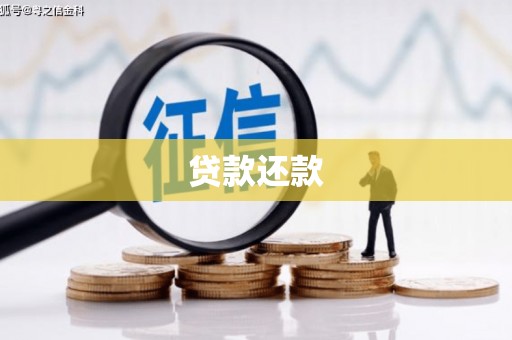 新都贷款还款