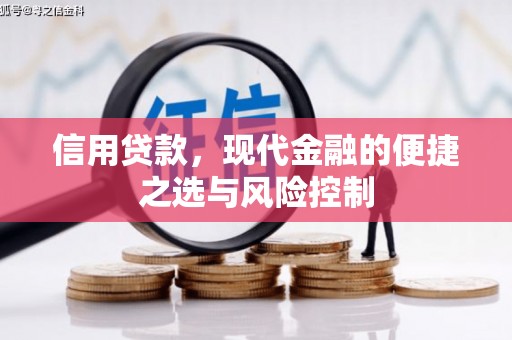 新都信用贷款，现代金融的便捷之选与风险控制