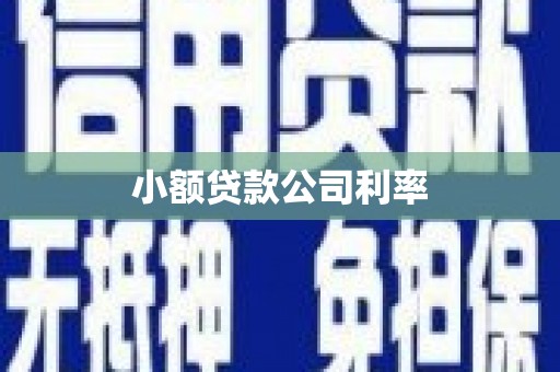 新都小额贷款公司利率