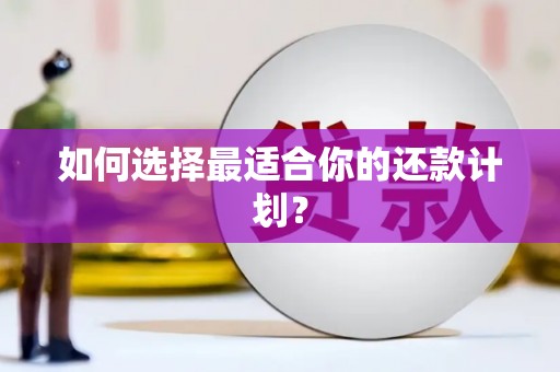 新都如何选择最适合你的还款计划？