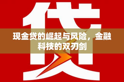 新都现金贷的崛起与风险，金融科技的双刃剑