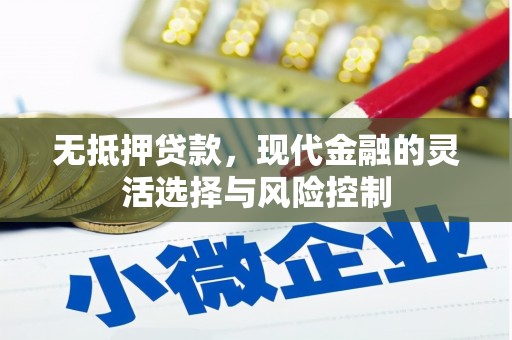 新都无抵押贷款，现代金融的灵活选择与风险控制