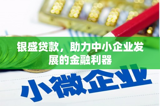 新都银盛贷款，助力中小企业发展的金融利器