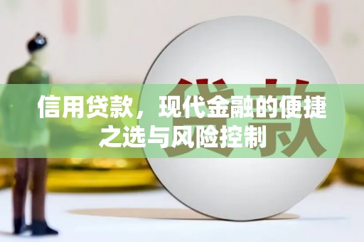 新都信用贷款，现代金融的便捷之选与风险控制