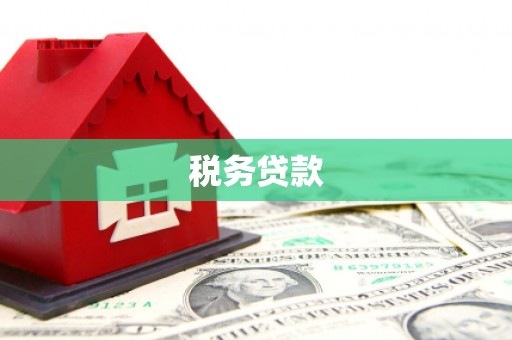 新都税务贷款