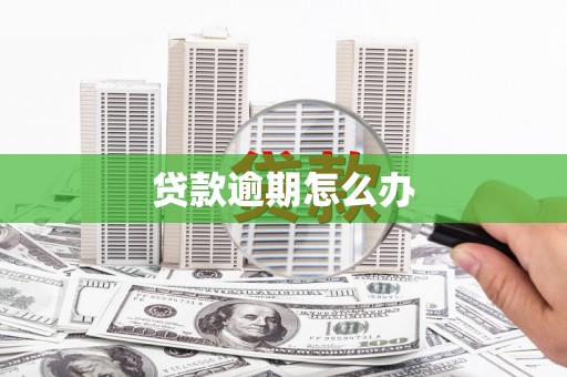 新都贷款逾期怎么办