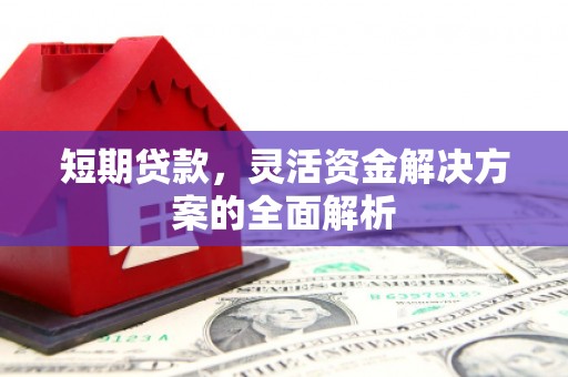 新都短期贷款，灵活资金解决方案的全面解析