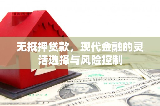 新都无抵押贷款，现代金融的灵活选择与风险控制