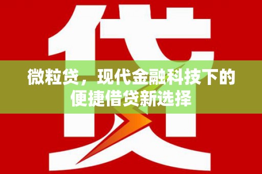新都微粒贷，现代金融科技下的便捷借贷新选择
