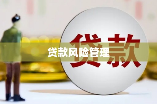 新都贷款风险管理