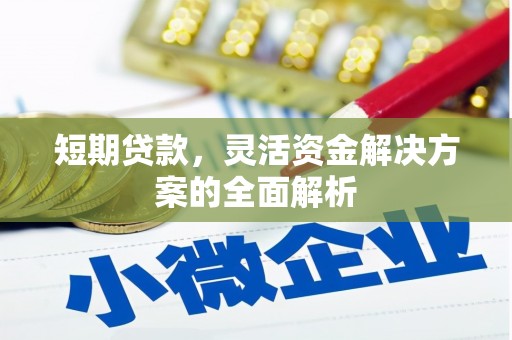 新都短期贷款，灵活资金解决方案的全面解析