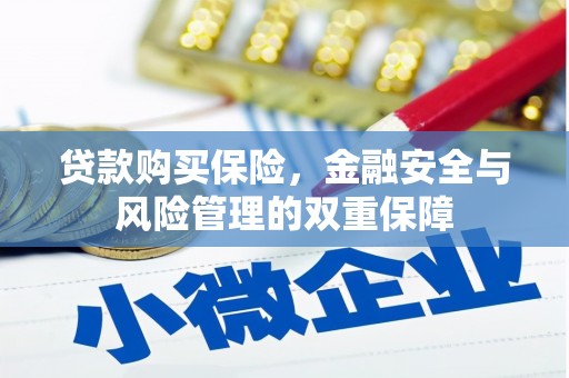 新都贷款购买保险，金融安全与风险管理的双重保障