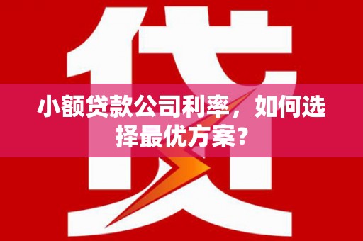 新都小额贷款公司利率，如何选择最优方案？