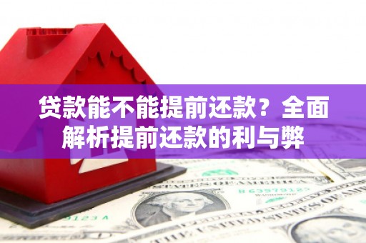 新都贷款能不能提前还款？全面解析提前还款的利与弊