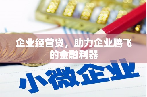 新都企业经营贷，助力企业腾飞的金融利器