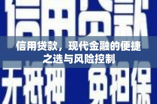新都信用贷款，现代金融的便捷之选与风险控制