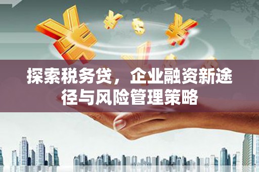 新都探索税务贷，企业融资新途径与风险管理策略