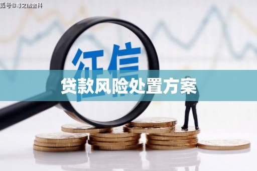 新都贷款风险处置方案