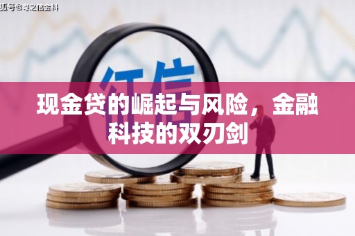 新都现金贷的崛起与风险，金融科技的双刃剑