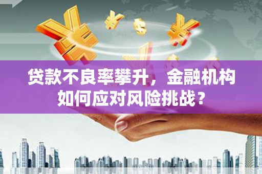 新都贷款不良率攀升，金融机构如何应对风险挑战？