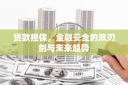 新都贷款担保，金融安全的双刃剑与未来趋势