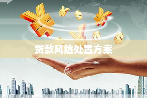 新都贷款风险处置方案