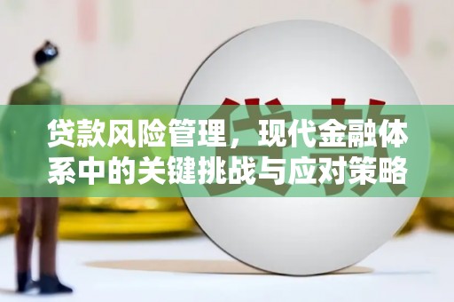 新都贷款风险管理，现代金融体系中的关键挑战与应对策略