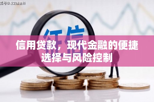 新都信用贷款，现代金融的便捷选择与风险控制