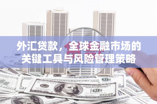 新都外汇贷款，全球金融市场的关键工具与风险管理策略