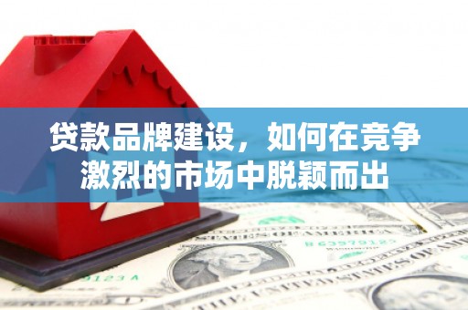 新都贷款品牌建设，如何在竞争激烈的市场中脱颖而出