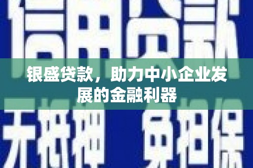 新都银盛贷款，助力中小企业发展的金融利器